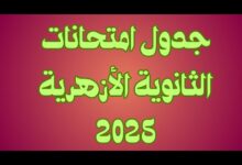 123e456tas 1