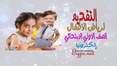 123e456tas 3