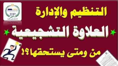 123e456tas 30