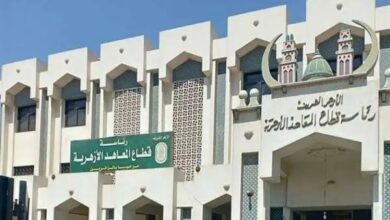 قطاع المعاهد