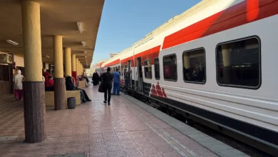 zigazag train station feature