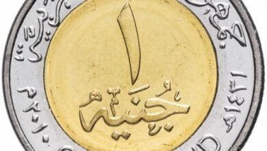 egypt 1 pound 2010
