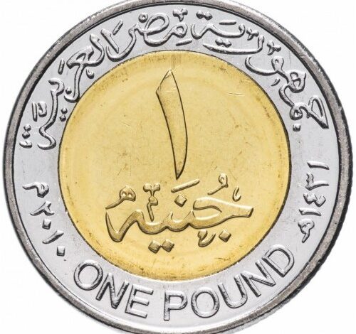 egypt 1 pound 2010