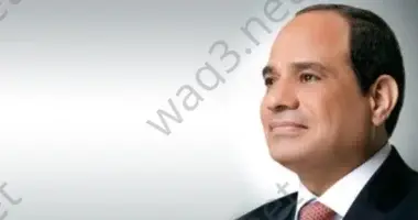 202411290914461446 wm