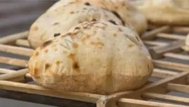 Dried Egyptian09oi8u7y6t5r4 bread1
