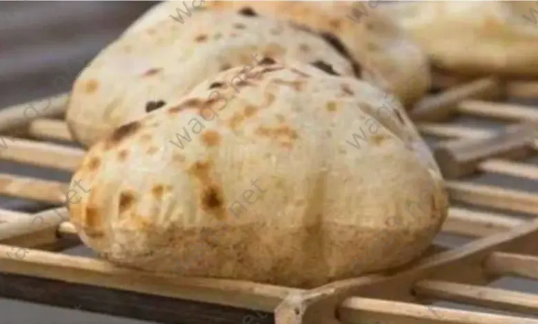 Dried Egyptian09oi8u7y6t5r4 bread1