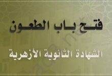 imagep0o9i8u7y6t5tr444e3w2q1aaas 22