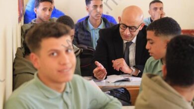 214 115916 egyptian baccalaureate curricula school link 3