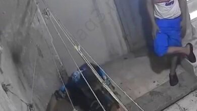 769056334 122326201946225153 4752865250109191811 n