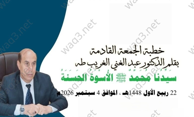 IMG 20250822217 WA00000012 4 780x470 1 wm
