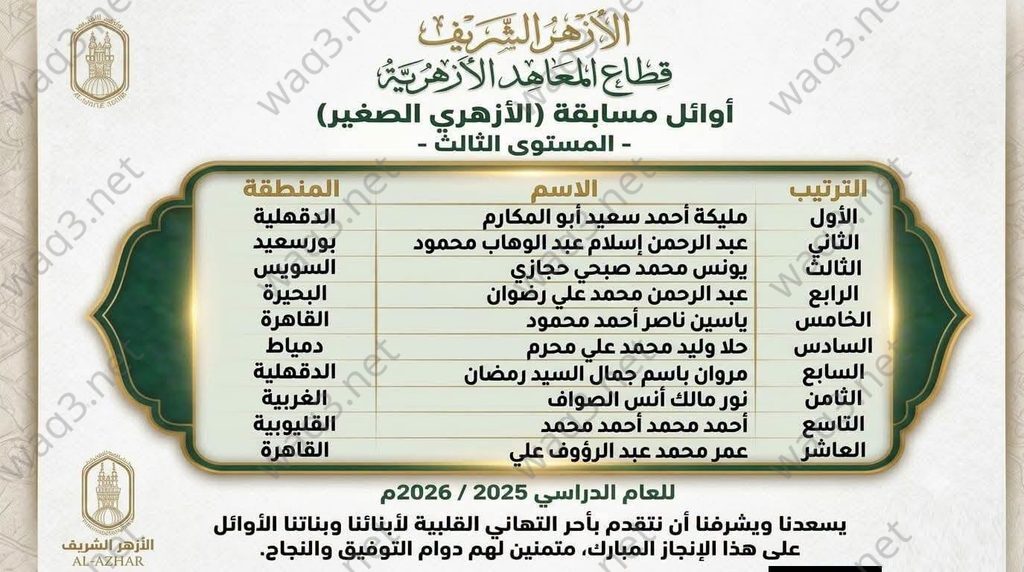المستوى الثالث wm
